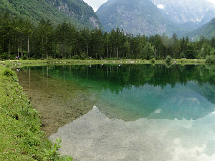 Bluntausee - Blick in Richtung Westufer