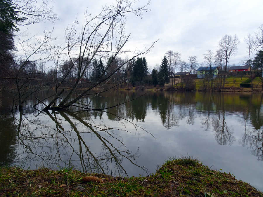 Ziegelteich Westufer - Blick in Richtung Osten