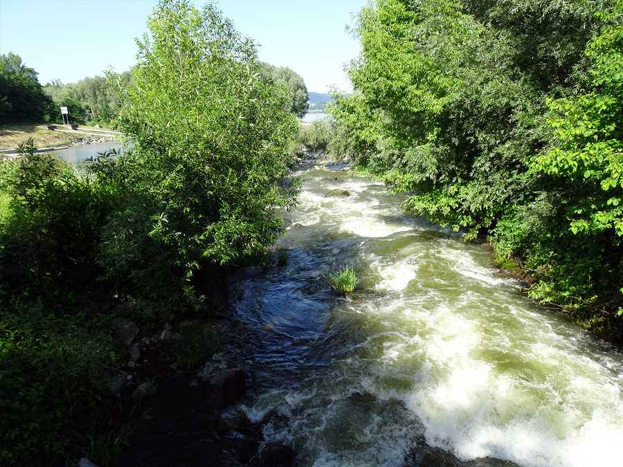 Fischwanderhilfe in Emmersdorf an der Donau