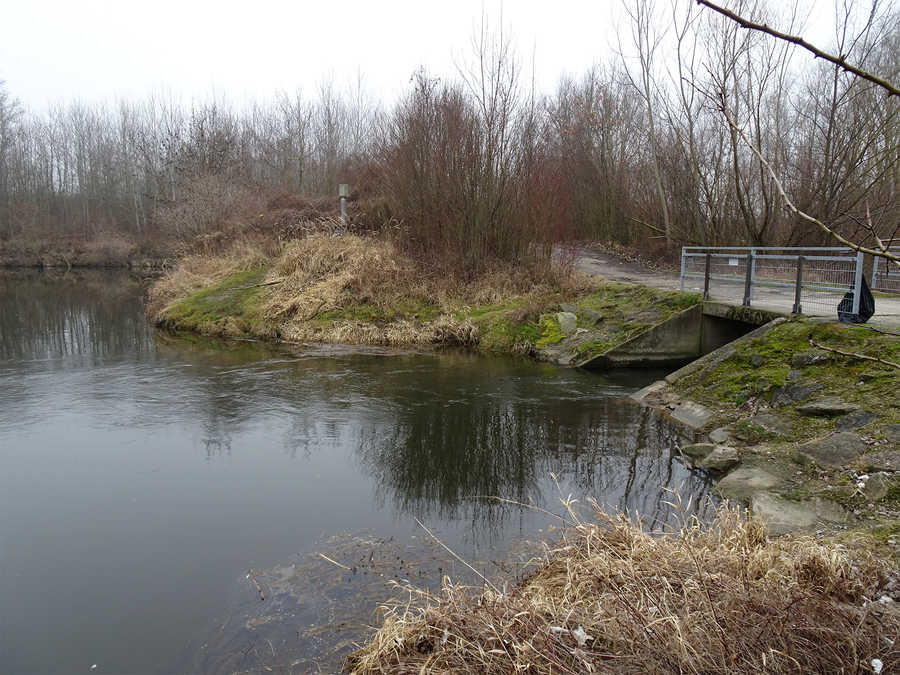 Revier Tulln - Nebengewässer