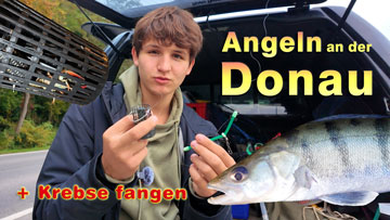 Angeln an der Donau