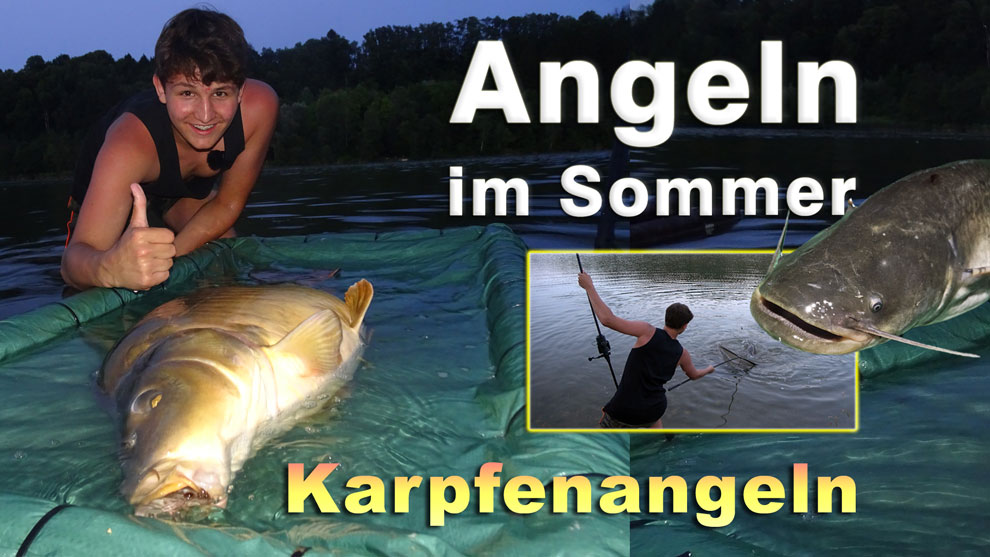 Angeln auf Karpfen im Sommer - Karpfenangeln im Angelurlaub in Österreich in Kärnten