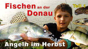 Fischen an der Donau - Angeln im Herbst