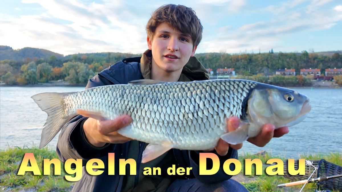 Fischen an der Donau im Herbst