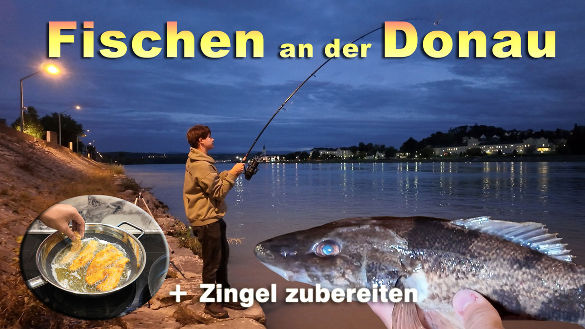 Angeln an der Donau in Persenbeug + Zingel zubereiten