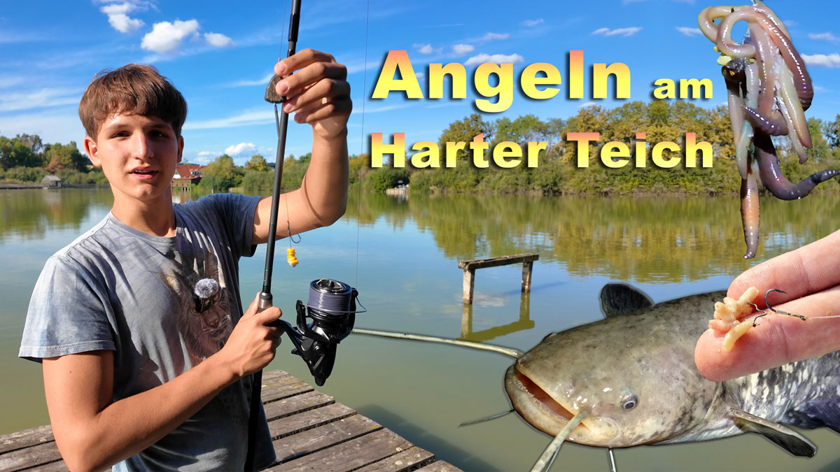 Angeln am Harter Teich in der Steiermark